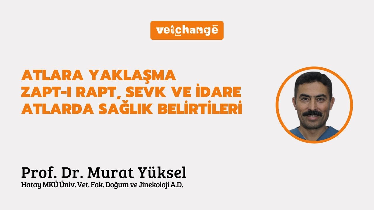 Atlara Yaklaşım Zapt-ı Rapt, Sevk ve İdare Atlarda Sağlık Belirtileri ''Prof. Dr. Murat Yüksel''